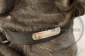 Collare AG232A Collare in nylon per cani con LED luminoso, misura 34/ 42cm,  - OFBA srl