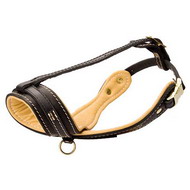 Museruola per cani grandi, medi e piccoli Musruola leggera in cuoio per  tutte le razze di cani [M41##1061 Museruola in cuoio] - €42.90 :  fordogtrainers, negozio per cani, accessori per cani, articoli