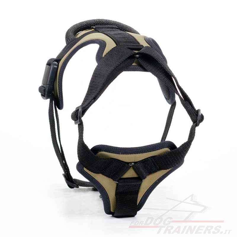 Pettorina in nylon per Bulldog francese [H17##1061 Pettorina in nylon da  traino] - €42.30 : fordogtrainers, negozio per cani, accessori per cani,  articoli per cani, pettorine per cani, collari Herm Sprenger, collari