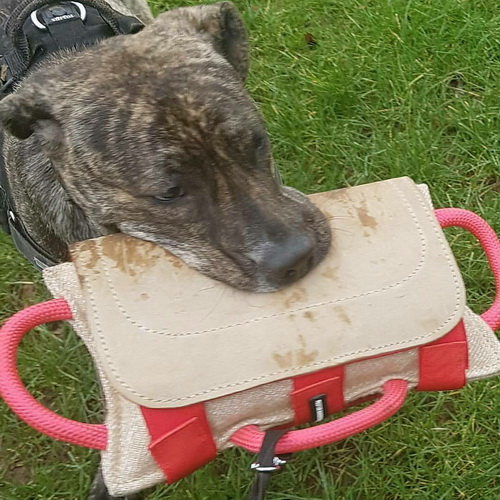 Fodero in pelle naturale per cuscino tira-morsi per cani